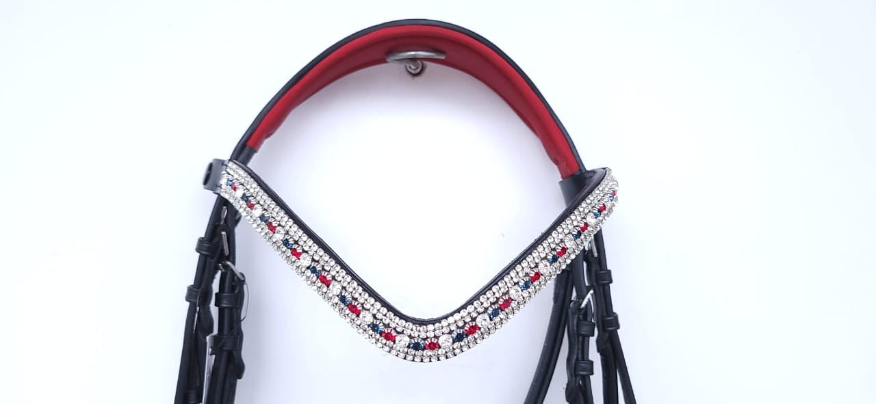 Patriotic Patent Rolled Bridle