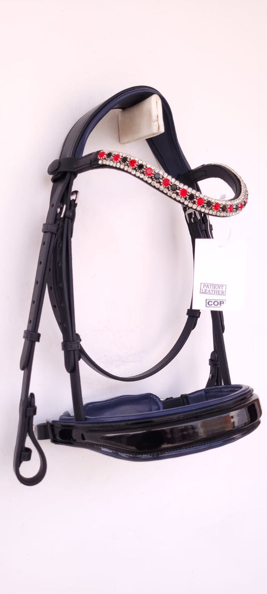 Special 2 design Bridle